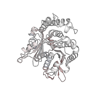 29685_8g2z_PB_v1-0
48-nm doublet microtubule from Tetrahymena thermophila strain CU428