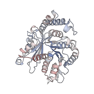 29685_8g2z_PC_v1-0
48-nm doublet microtubule from Tetrahymena thermophila strain CU428