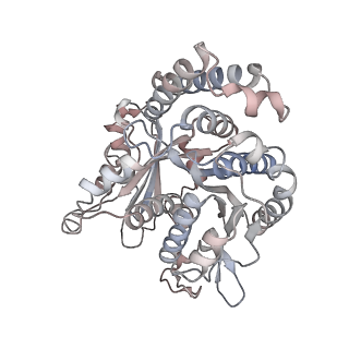 29685_8g2z_PD_v1-0
48-nm doublet microtubule from Tetrahymena thermophila strain CU428