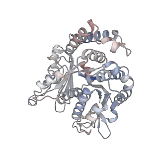 29685_8g2z_PF_v1-0
48-nm doublet microtubule from Tetrahymena thermophila strain CU428
