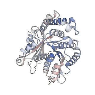 29685_8g2z_PG_v1-0
48-nm doublet microtubule from Tetrahymena thermophila strain CU428