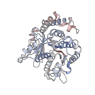 29685_8g2z_PH_v1-0
48-nm doublet microtubule from Tetrahymena thermophila strain CU428