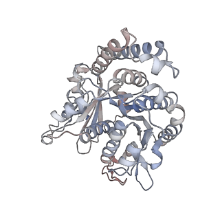 29685_8g2z_PJ_v1-0
48-nm doublet microtubule from Tetrahymena thermophila strain CU428