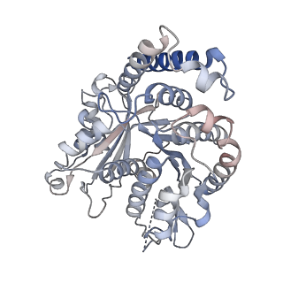 29685_8g2z_PK_v1-0
48-nm doublet microtubule from Tetrahymena thermophila strain CU428