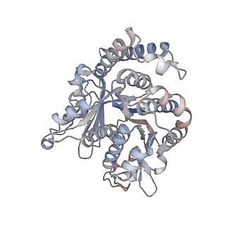 29685_8g2z_PL_v1-0
48-nm doublet microtubule from Tetrahymena thermophila strain CU428