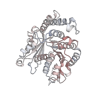29685_8g2z_PM_v1-0
48-nm doublet microtubule from Tetrahymena thermophila strain CU428