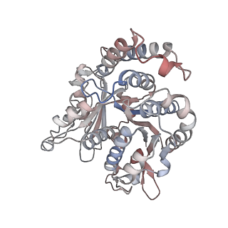 29685_8g2z_PN_v1-0
48-nm doublet microtubule from Tetrahymena thermophila strain CU428