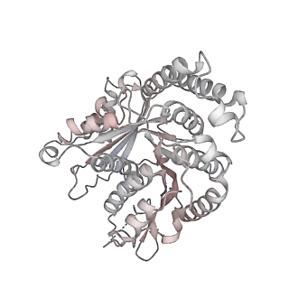 29685_8g2z_QA_v1-0
48-nm doublet microtubule from Tetrahymena thermophila strain CU428