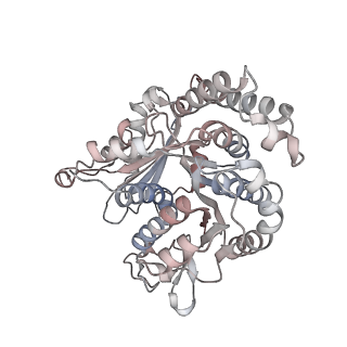 29685_8g2z_QB_v1-0
48-nm doublet microtubule from Tetrahymena thermophila strain CU428