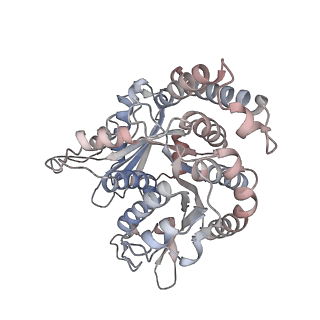 29685_8g2z_QD_v1-0
48-nm doublet microtubule from Tetrahymena thermophila strain CU428