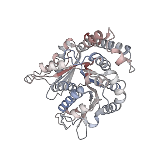 29685_8g2z_QF_v1-0
48-nm doublet microtubule from Tetrahymena thermophila strain CU428