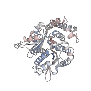 29685_8g2z_QH_v1-0
48-nm doublet microtubule from Tetrahymena thermophila strain CU428