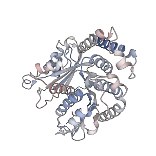 29685_8g2z_QI_v1-0
48-nm doublet microtubule from Tetrahymena thermophila strain CU428