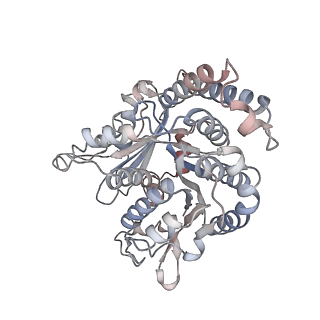 29685_8g2z_QJ_v1-0
48-nm doublet microtubule from Tetrahymena thermophila strain CU428