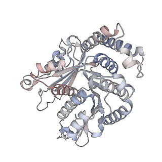 29685_8g2z_QK_v1-0
48-nm doublet microtubule from Tetrahymena thermophila strain CU428