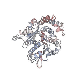 29685_8g2z_QL_v1-0
48-nm doublet microtubule from Tetrahymena thermophila strain CU428