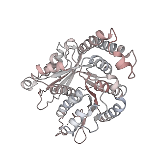 29685_8g2z_QM_v1-0
48-nm doublet microtubule from Tetrahymena thermophila strain CU428