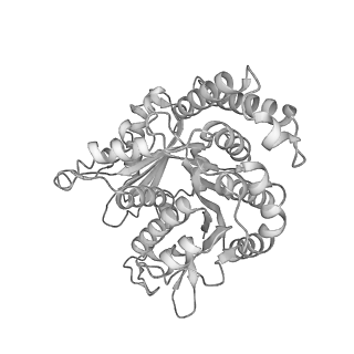 29685_8g2z_QN_v1-0
48-nm doublet microtubule from Tetrahymena thermophila strain CU428