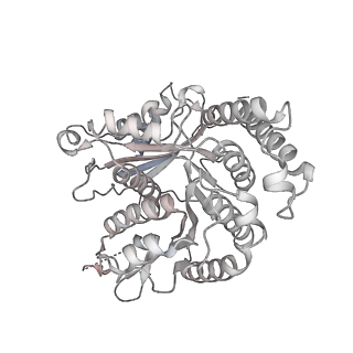 29685_8g2z_RA_v1-0
48-nm doublet microtubule from Tetrahymena thermophila strain CU428