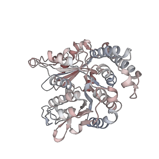 29685_8g2z_RB_v1-0
48-nm doublet microtubule from Tetrahymena thermophila strain CU428