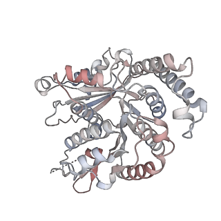 29685_8g2z_RC_v1-0
48-nm doublet microtubule from Tetrahymena thermophila strain CU428