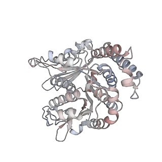 29685_8g2z_RD_v1-0
48-nm doublet microtubule from Tetrahymena thermophila strain CU428