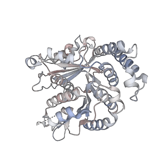 29685_8g2z_RE_v1-0
48-nm doublet microtubule from Tetrahymena thermophila strain CU428