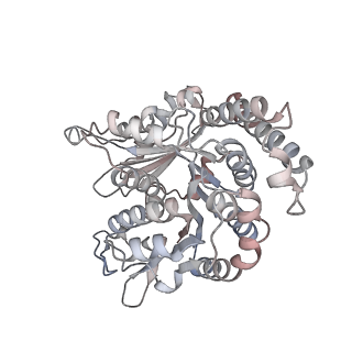 29685_8g2z_RF_v1-0
48-nm doublet microtubule from Tetrahymena thermophila strain CU428