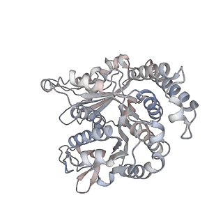 29685_8g2z_RH_v1-0
48-nm doublet microtubule from Tetrahymena thermophila strain CU428