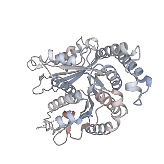 29685_8g2z_RI_v1-0
48-nm doublet microtubule from Tetrahymena thermophila strain CU428