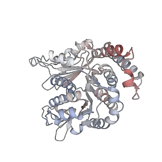 29685_8g2z_RJ_v1-0
48-nm doublet microtubule from Tetrahymena thermophila strain CU428