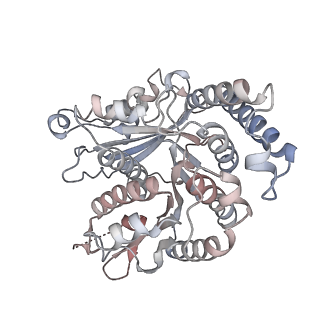 29685_8g2z_RK_v1-0
48-nm doublet microtubule from Tetrahymena thermophila strain CU428