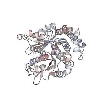 29685_8g2z_RL_v1-0
48-nm doublet microtubule from Tetrahymena thermophila strain CU428