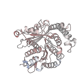 29685_8g2z_RM_v1-0
48-nm doublet microtubule from Tetrahymena thermophila strain CU428