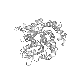 29685_8g2z_RN_v1-0
48-nm doublet microtubule from Tetrahymena thermophila strain CU428