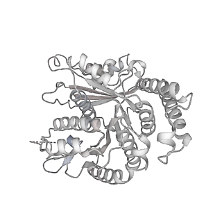 29685_8g2z_SA_v1-0
48-nm doublet microtubule from Tetrahymena thermophila strain CU428