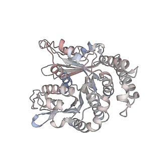 29685_8g2z_SB_v1-0
48-nm doublet microtubule from Tetrahymena thermophila strain CU428