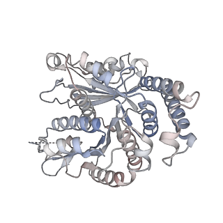 29685_8g2z_SC_v1-0
48-nm doublet microtubule from Tetrahymena thermophila strain CU428