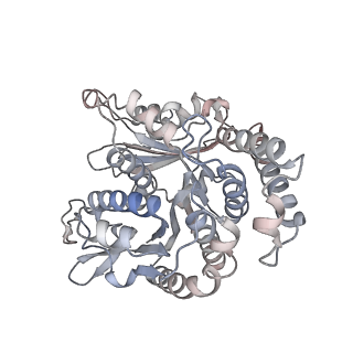 29685_8g2z_SD_v1-0
48-nm doublet microtubule from Tetrahymena thermophila strain CU428