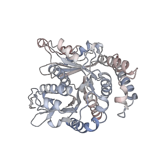 29685_8g2z_SF_v1-0
48-nm doublet microtubule from Tetrahymena thermophila strain CU428
