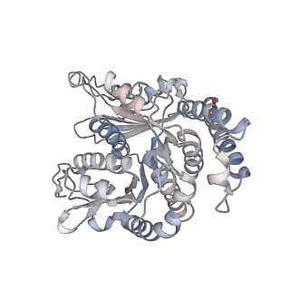 29685_8g2z_SH_v1-0
48-nm doublet microtubule from Tetrahymena thermophila strain CU428