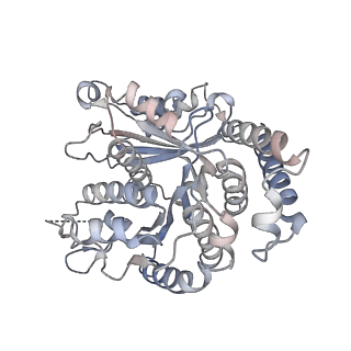 29685_8g2z_SI_v1-0
48-nm doublet microtubule from Tetrahymena thermophila strain CU428