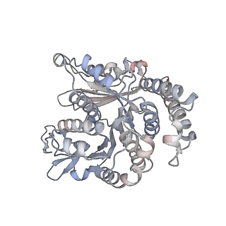 29685_8g2z_SJ_v1-0
48-nm doublet microtubule from Tetrahymena thermophila strain CU428