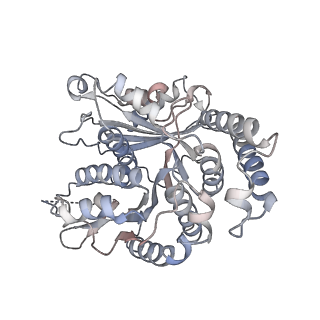 29685_8g2z_SK_v1-0
48-nm doublet microtubule from Tetrahymena thermophila strain CU428