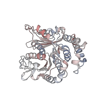 29685_8g2z_SL_v1-0
48-nm doublet microtubule from Tetrahymena thermophila strain CU428
