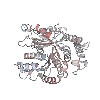 29685_8g2z_SM_v1-0
48-nm doublet microtubule from Tetrahymena thermophila strain CU428