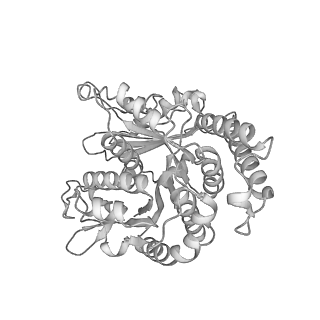 29685_8g2z_SN_v1-0
48-nm doublet microtubule from Tetrahymena thermophila strain CU428