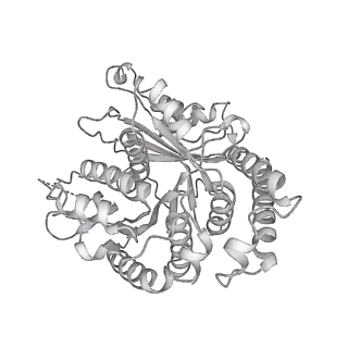 29685_8g2z_TA_v1-0
48-nm doublet microtubule from Tetrahymena thermophila strain CU428