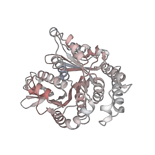 29685_8g2z_TB_v1-0
48-nm doublet microtubule from Tetrahymena thermophila strain CU428