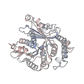 29685_8g2z_TC_v1-0
48-nm doublet microtubule from Tetrahymena thermophila strain CU428